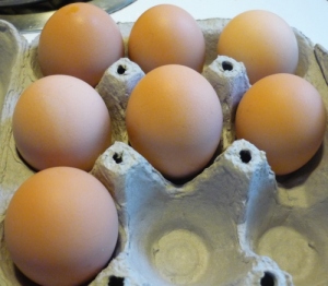 Fresh eggs from the coop - the taste can't be beat!