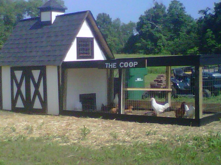 Our original chicken coop made from pallets