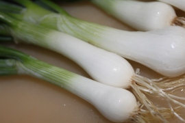 Spring Onions or Green Onions are an easy grow - and great for salads, dips or eating!