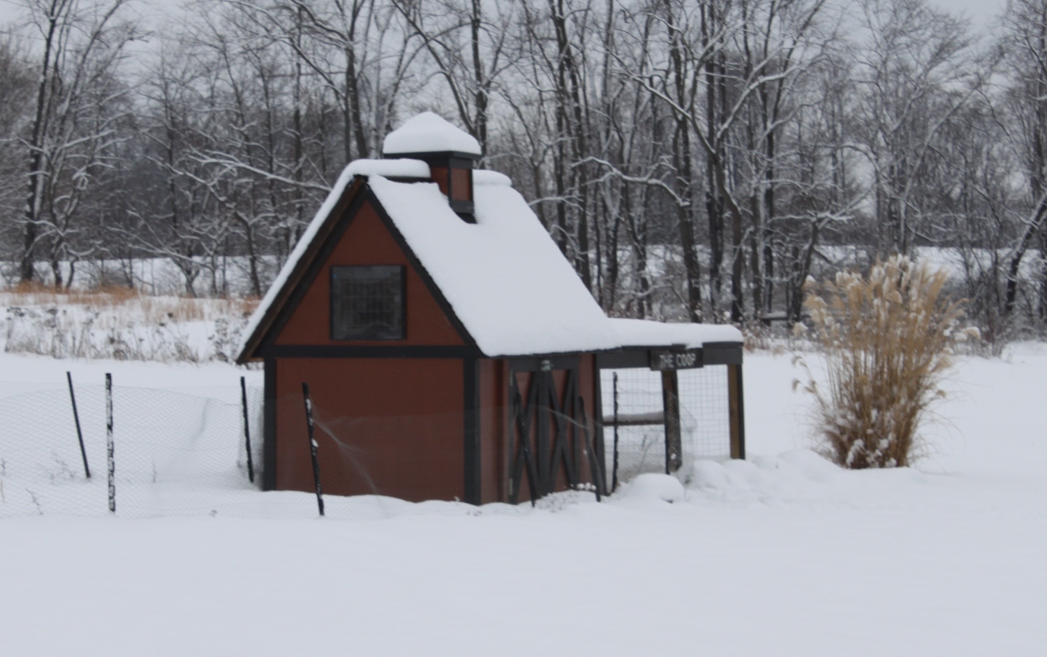 Keeping Our Chickens Happy In The Winter - Old World Garden Farms