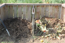 Compost is the key to organic gardening.  The single best way to great soil