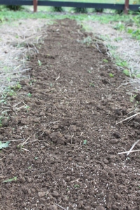 Barren soil makes it easy for  soil erosion to occur, and for weed seeds to blow in.  Cover crops solve both problems.