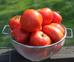 Whether fresh or canned - we use tomatoes from our garden nearly every day of the year.