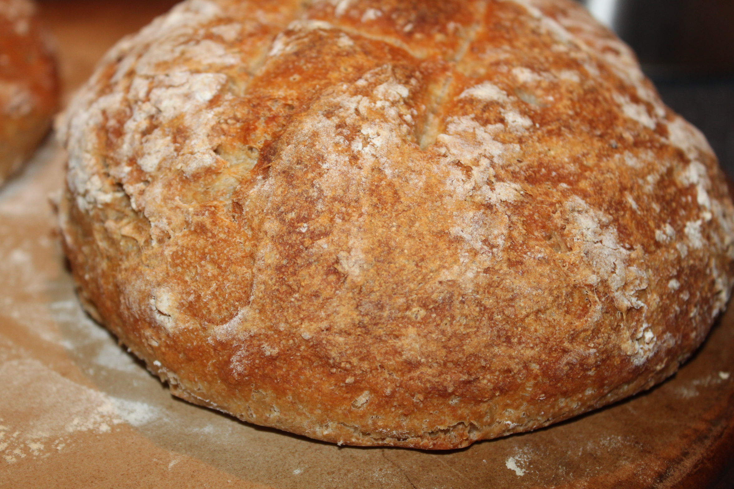Home Made Artisan Bread Recipe \u2013 Prepared In Minutes!  Old World Garden Farms