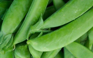 It wont be long until we can enjoy fresh sugar snap peas from the garden!