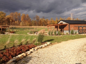 As the fall skies roll in - its time to start getting that garden cleaned up for the winter.