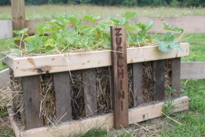 Container or straw bale gardening can work for those with little space