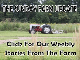 Our Weekly Farm Update Stories