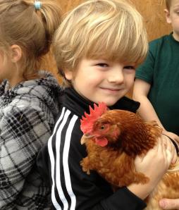 The Chickens, are always a big hit with the kids!