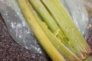 Save those vegetable scraps in your freezer until you are ready to make the stock. 