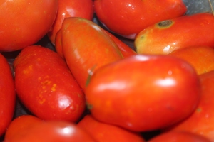 The Amish Paste Tomato is an excellent choice for those wanting to make sauce, salsa or ketchup.