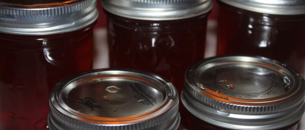 Apple Cinnamon Honey Jam Recipe – Spectacular Fall Taste With Only 3 Ingredients!!!! Apple-cinnamon-jam-e1412934341256