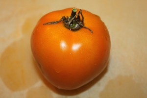 The Valencia Orange tomato - bursting with rich flavor