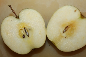 Apple Cinnamon Honey Jam Recipe – Spectacular Fall Taste With Only 3 Ingredients!!!! Sliced-apples