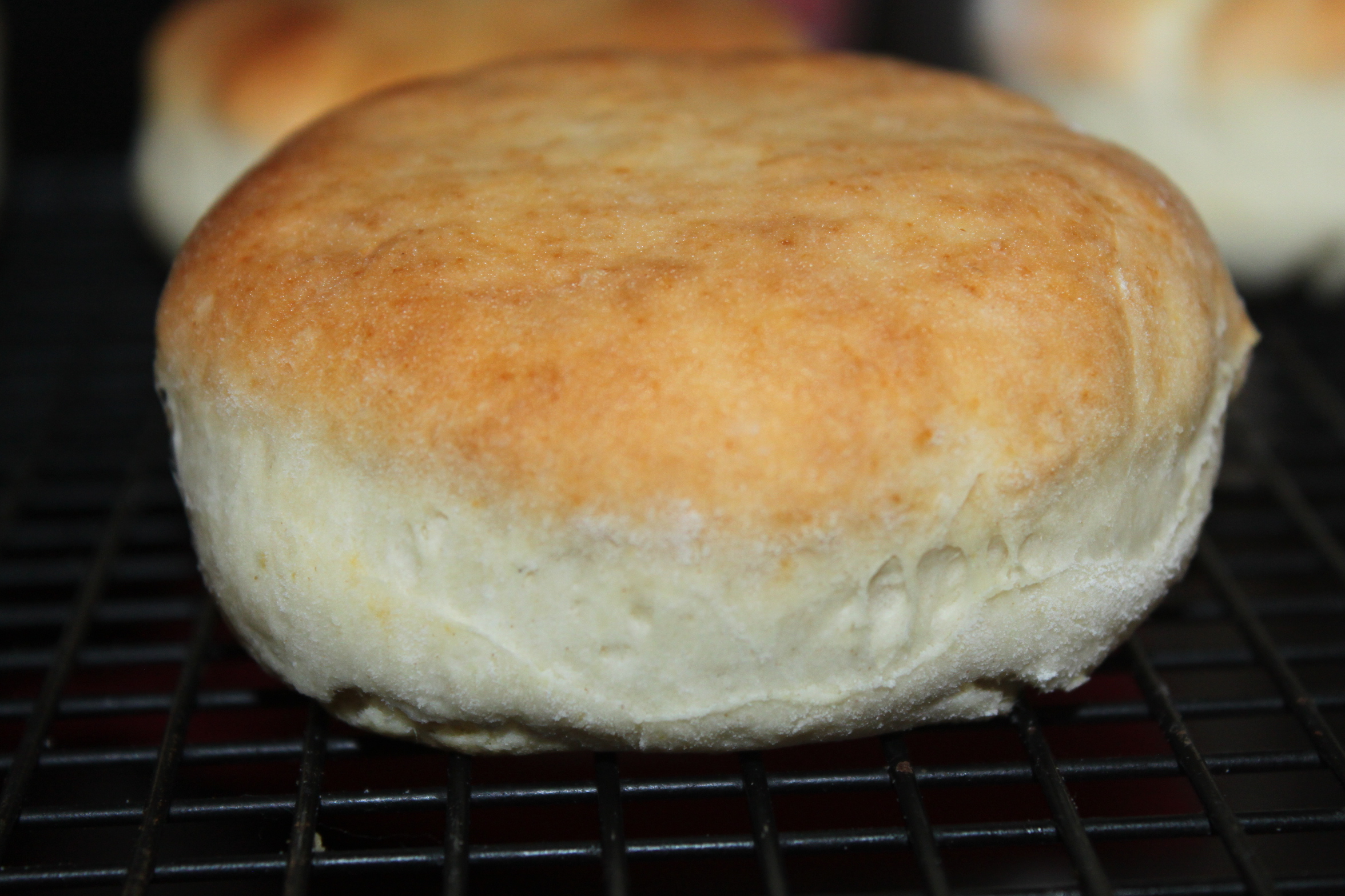 Homemade Biscuits 28