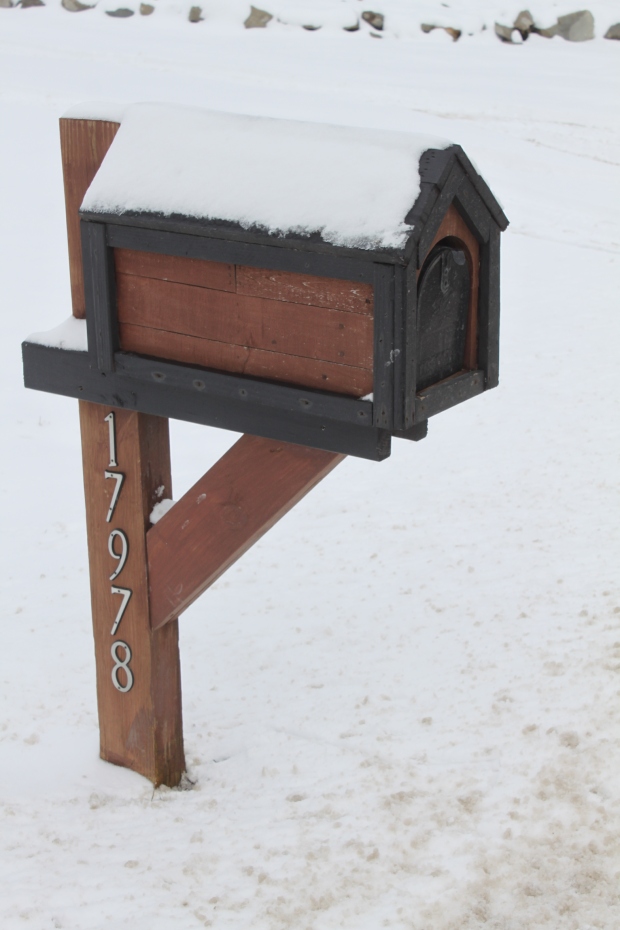 The Pallet Mail Box (1)