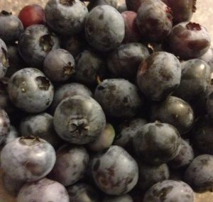 Fresh picked blueberries from our bushes at the farm
